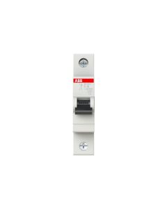 INT. TERMOMAGNÉTICO UNIPOLAR 16A. 4,5 KA CURVA C ABB