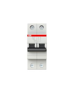 INT. TERMOMAGNÉTICO BIPOLAR 25A. 4,5 KA CURVA C ABB