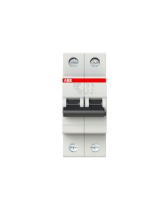 INT. TERMOMAGNÉTICO BIPOLAR 63A. 4,5 KA CURVA C ABB
